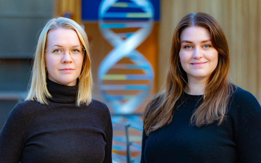 Erfðabreytileiki sem einstaklingar með ætterni frá Afríku bera helst eykur hættuna á sjálfsofnæmissjúkdómunum rauðum hundum og húðhelluroða